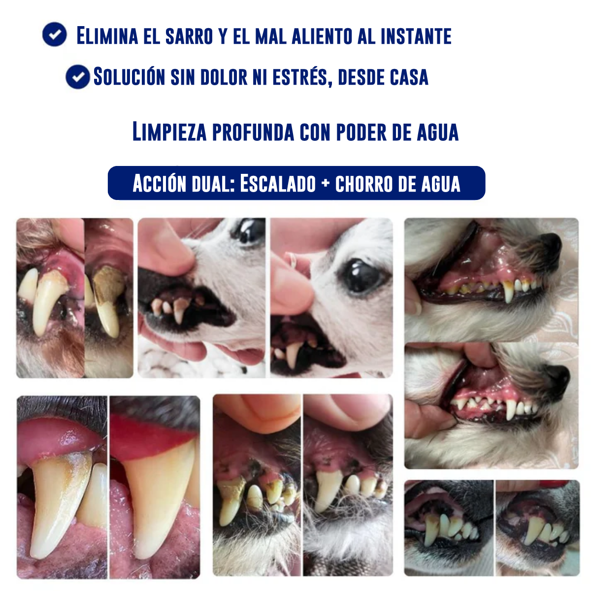 Kit Canivet - Eliminador sónico silencioso de placa y sarro para perros